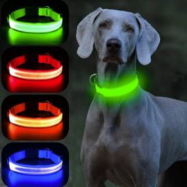 Outley LED Dog Collar Rechargeable Glowing