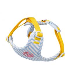 Striped Lovely Dog harness with leash